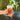 Decaf Sweet Tea